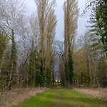 Olembe Garden * Avon