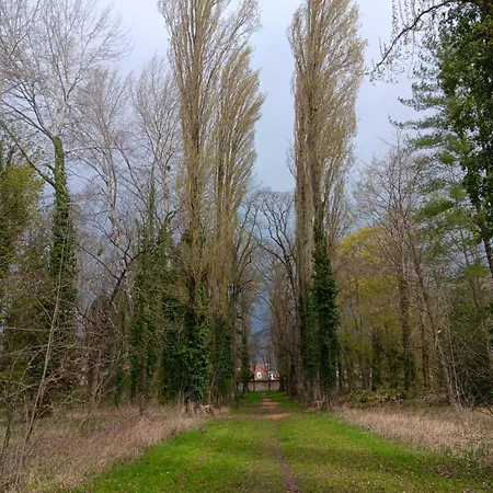 Olembe Garden * Avon